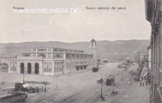 Triest, Fischmarkt - Italien - alte historische Fotos Ansichten Bilder Aufnahmen Ansichtskarten 