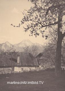 Drobollach, Treiber-Hube - Drobollach am Faaker See - alte historische Fotos Ansichten Bilder Aufnahmen Ansichtskarten 