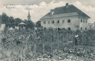 Gärtnerei Jacob Eicher - Villach - Trattengasse - alte historische Fotos Ansichten Bilder Aufnahmen Ansichtskarten 