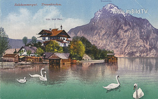 Traunkirchen - Gmunden - alte historische Fotos Ansichten Bilder Aufnahmen Ansichtskarten 