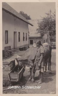 Faak am See, Bauernhof der Kunstmühle - Finkenstein am Faaker See - alte historische Fotos Ansichten Bilder Aufnahmen Ansichtskarten 