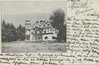 Pension Waldfriede - Steindorf am Ossiacher See - alte historische Fotos Ansichten Bilder Aufnahmen Ansichtskarten 