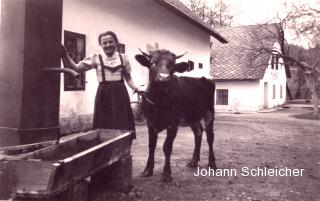 Faak am See, Bauernhof der Kunstmühle - Villach Land - alte historische Fotos Ansichten Bilder Aufnahmen Ansichtskarten 