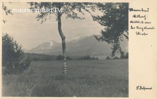 Warmbad - Napoleonwiese - Kärnten - alte historische Fotos Ansichten Bilder Aufnahmen Ansichtskarten 