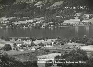 Ossiachersee - alte historische Fotos Ansichten Bilder Aufnahmen Ansichtskarten 