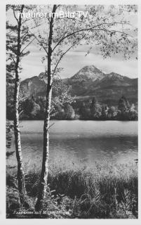 Blick Richtung Faakersee Insel - Villach Land - alte historische Fotos Ansichten Bilder Aufnahmen Ansichtskarten 