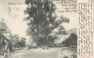 Millstatt - alte historische Fotos Ansichten Bilder Aufnahmen Ansichtskarten 