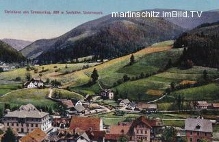 Steinhaus am Semmering, Ortsansicht   - Spital am Semmering - alte historische Fotos Ansichten Bilder Aufnahmen Ansichtskarten 