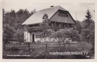 Mittewald, Rasthaus im Walde - Villach - alte historische Fotos Ansichten Bilder Aufnahmen Ansichtskarten 