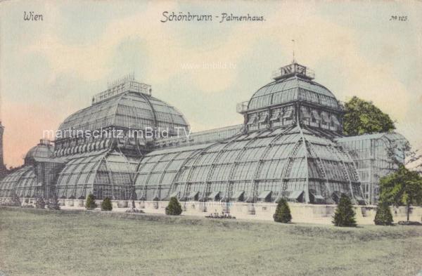 um 1903 - Wien Palmenhaus