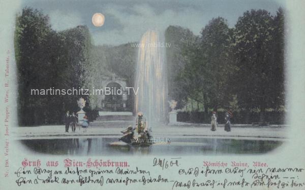 1901 - Wien Schönbrunn, Römische Ruine - Monscheinkarte